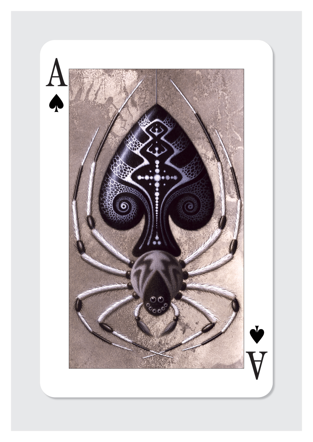 ※FYP (Division) Ace of spades Ace of Spades | Folio illustration agency