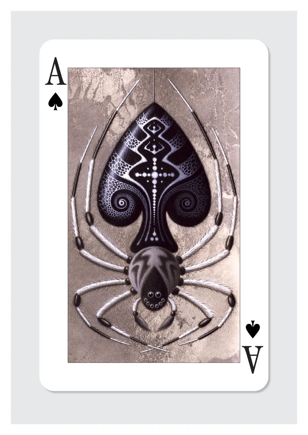 ※FYP (Division) Ace of spades Ace of Spades | Folio illustration agency
