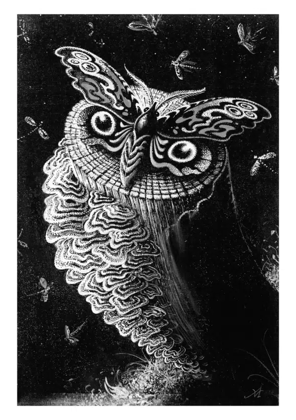 Owl-Moth