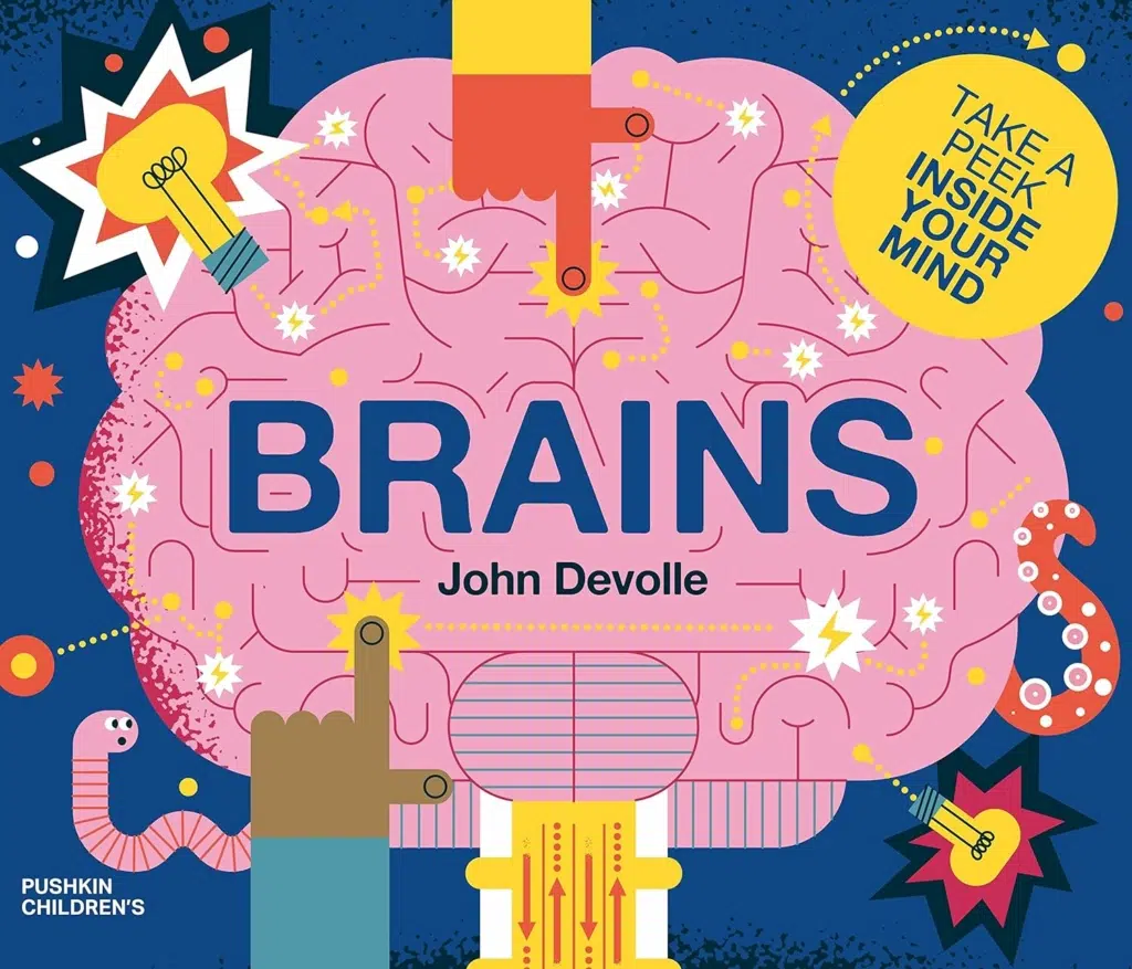 Brains – Take a Peek Inside Your Mind