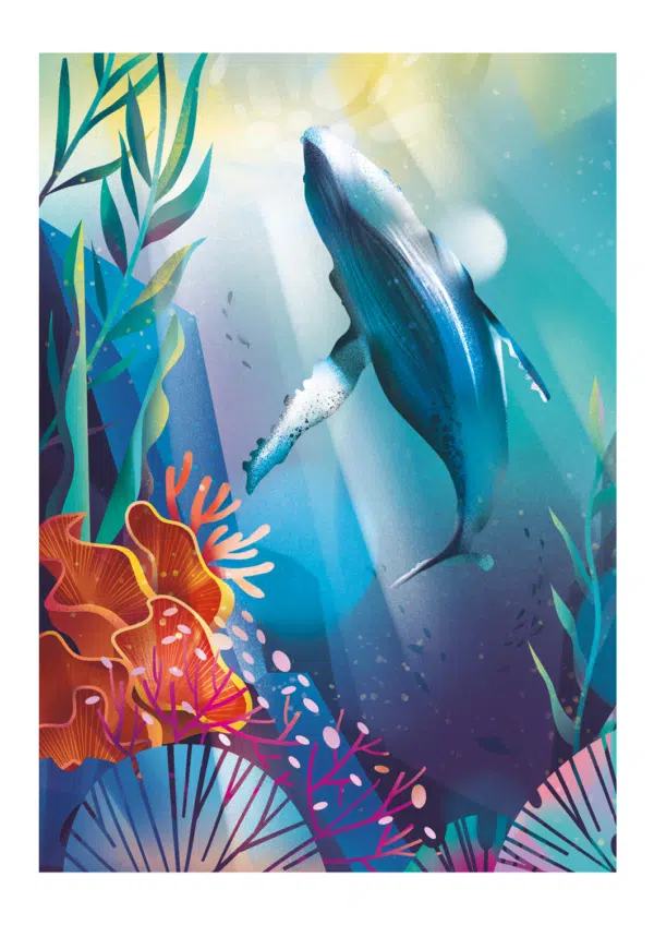 Brightly coloured illustration of a whale underwater as see from below, with light streaming in through the water