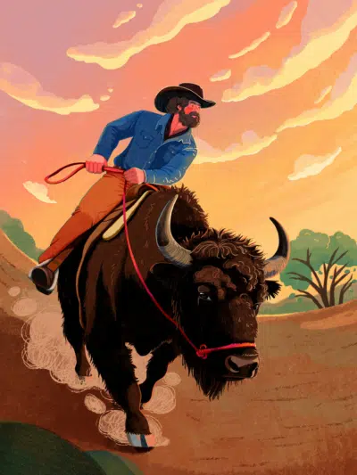 Bison